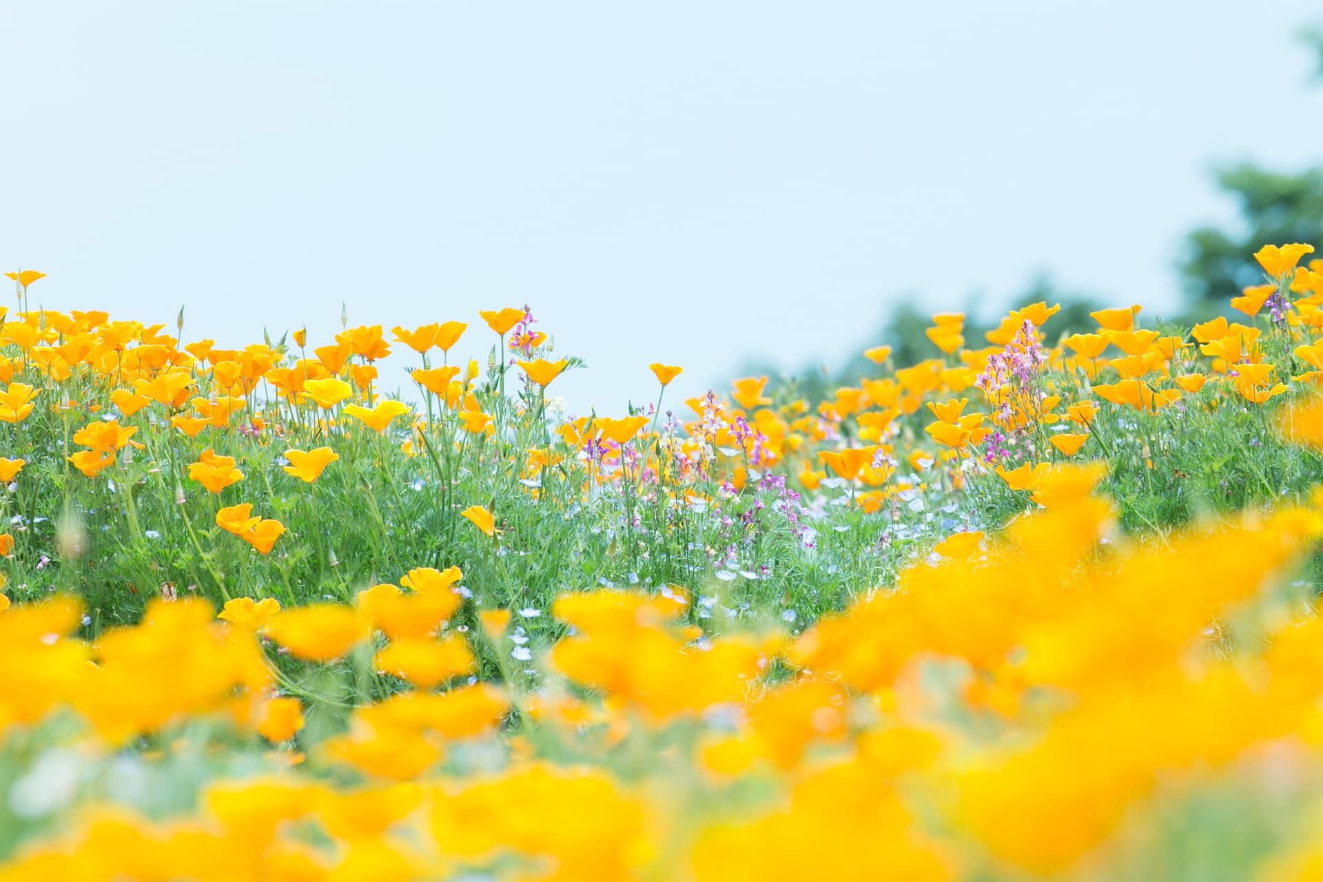 AdobeStock_162189012